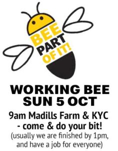 KYC needs your help !